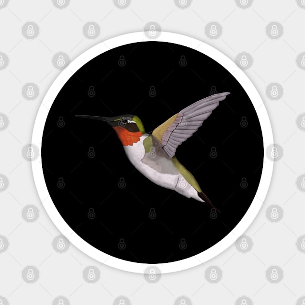 Hummingbird Bird Art Birdlover Birdwatcher Animal Magnet by jzbirds